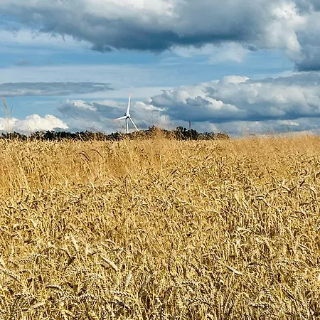 Schott Prichsenstadt